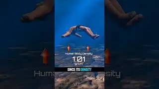 Why Do Dead Bodies Float in Water? | Scientific Explanation in 3D #information #infoknow