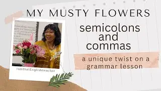 Using semicolon and commas - a fun grammar lesson