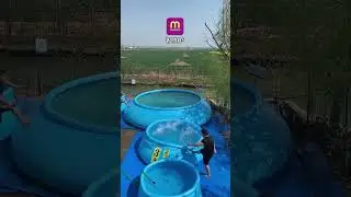 Portable swimming pool from meesho| meesho finds| shorts #meesho #amazon #flipkart #shorts