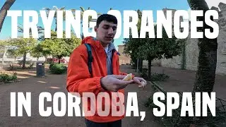 🇪🇸 Tasting Oranges in CORDOBA, Spain | iamlukash