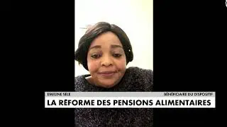 La r&eacute;forme des pensions alimentaires (French subtitles)