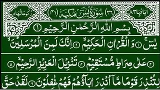 Surah Yaseen Beautiful Tilawat || Quran Recitation || Best Tilawat Surah Yaseen full || Ep 0349