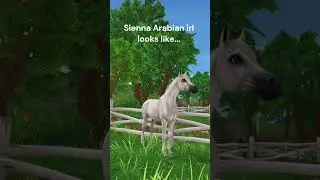 What my Horses in SSO look like irl part 1 #horse #sso #shortfilm #horsesirl