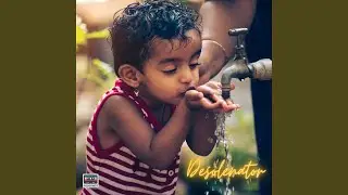 Desolenator