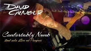 Comfortably Numb 2nd Solo | Live at Pompeii 2016 | Fractal AXE FX3