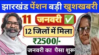11 जनवरी पेंशन आना शुरू ✅ | vridha vidhwa viklang pension january ka pension kab milega | pension