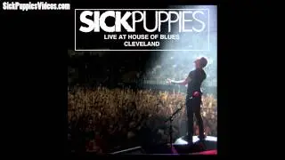 Sick Puppies - Maybe - Live At House of Blues Cleveland