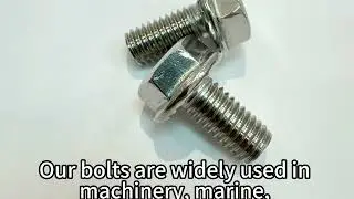 Stainless steel flange hex bolts
