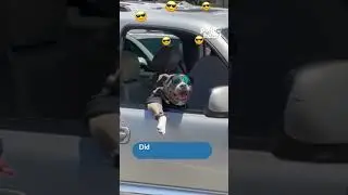 Dog Wearing Costume & Sunglasses High Fives Woman While Sitting in Car's Passenger Seat