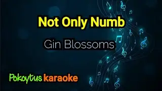 Not Only Numb 🎤 Gin Blossoms (karaoke)
