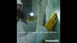 Paul Davis Mould Abatement Specialists #pauldavis #restorationservices #mold