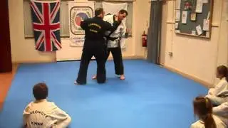 Cheongye Kwan Techniques