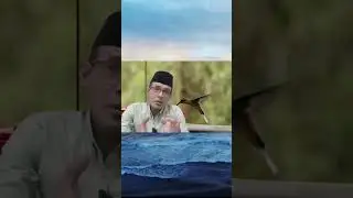 Logika Konflik