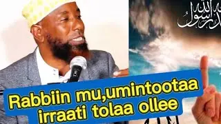 Rabbiin mu,umintootaa irraati tolaa ollee Sheikh Amin ibro dhamsa Bareeda Hanga dhumaati 🦻🦻🦻👈