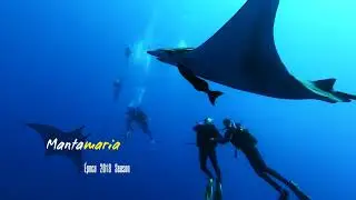 Mantamaria Summer 2018