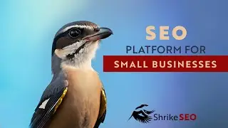 SEO Platform & Services For Small Businesses