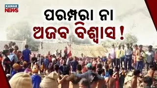 Unique Jaatiparba of Malkangiri’s Bonda Ghati | Ancient Tribal Tradition of Brotherhood