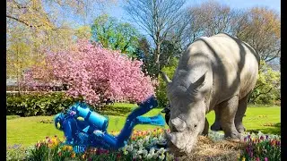 De VERBORGEN Schatten van Zoo Antwerpen Ontdekt!