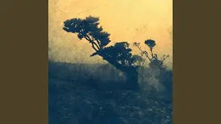 Oreida