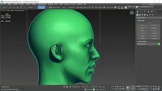 ANTM 0079 Female Bust