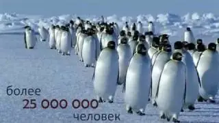 Рекламный ролик о телеканале OCEAN TV