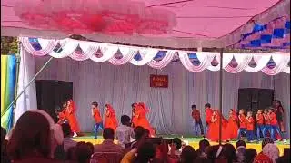 Anual Function Narmadaparae