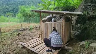 Build a wooden cage to raise guinea pigs for breeding with my daughter
