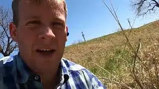 How to Find and Dry Wild Onions!(2022)