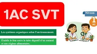 1AC SVT : tâche 2 :établir le lien entre le tube digestif d’un animal et son régime alimentaire