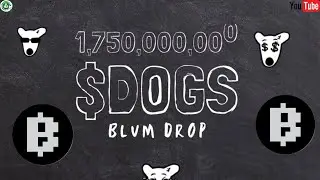QUI PEUT GAGNER AIRDROP DOGS DANS BLUM ?