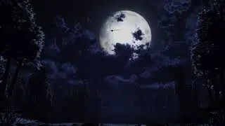The sound of nature. For nighttime romance/Звук природы. Для романтики на ночь.