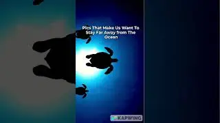 Do you fear deep oceans?🌊Write in the comments👉🏻#shorts #ocean #deep #interestingfacts #fear