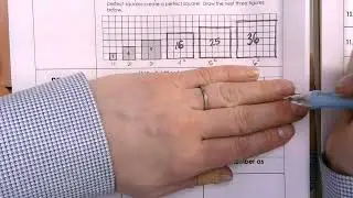 PA 11.8 Perfect Squares and Cubes