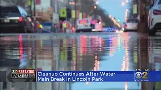 Halsted St. Water Main Break Highlights Growing Problem