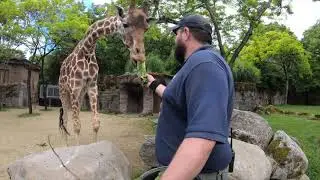 21 reasons why zookeepers are the best