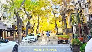 Ellena - As If It's Fall