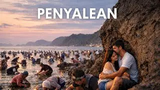 PENYALEAN &ndash; Lagu Sasak Tentang Bau Nyale | Jaga Tradisi Lombok | Cover Versi Baru
