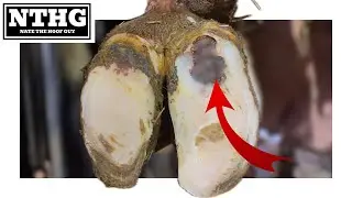 Мы нашли гравий в их подошвах