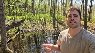 Macro footage of a Spring Vernal Pool and Its Wildlife in the Rain at Night!