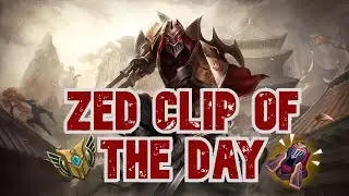 ZED CLIP OF THE DAY: EMILIA GET OUT OF THE BUSH, AND OUTTA OUR SIGHT. THANK US.