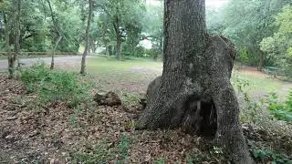 Withlacoochee River Park RV Campground