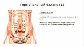 OXOww. Квантовые голограммы ОХО World Wide Расположение акупунктурных точек