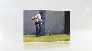 Brushcutters In The Hills District - Sydney