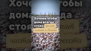 WB арт. #WW293546 [копируй с ww] парфюм для дома ВСПОМНИ 💫 #рекомендации #рек #россия #находкиwb