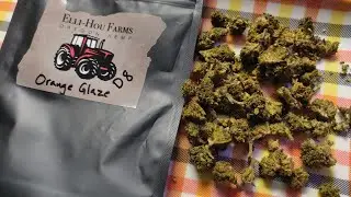 Elli Hou's New Strains Coming + D8 Orange Glaze strain review! 🌄🔥🤔