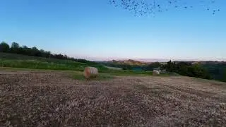 Tra cielo e fieno 