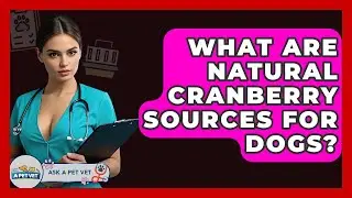 What Are Natural Cranberry Sources For Dogs? - Ask A Pet Vet