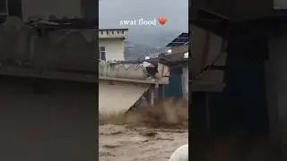 Stand for punjab🙏#safe #punjab #floods #staysafe #youtubeshorts #trendingshorts