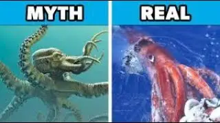 The Real Story: Ten Historical Misconceptions Uncovered