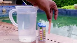 Treat Acid Pool pH with Chemtex Pool Build from Chemtex Speciality Ltd